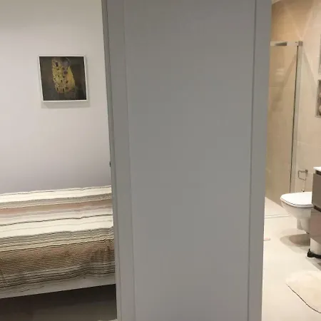 Deux Pièces Rue Piétonne Situation Idéale