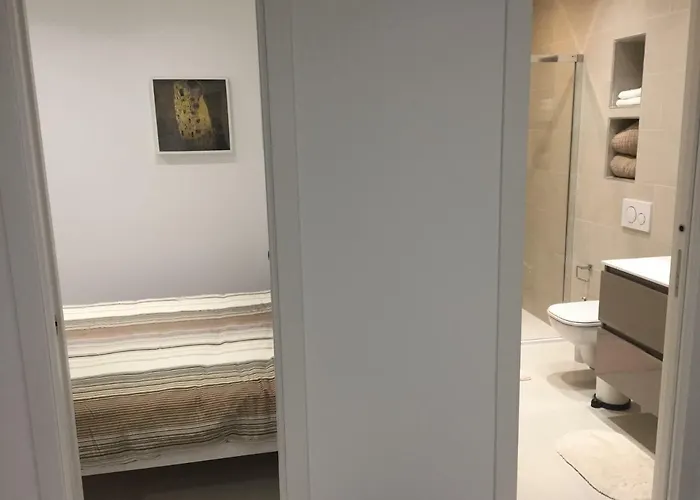 Deux Pièces Rue Piétonne Situation Idéale